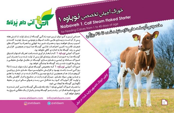 خوراک استارتر آجیلی نوباوه 1 - Image 3
