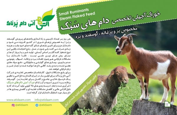 خوراک آجیلی دام سبک (گوسفند و بز داشتی) - Image 3