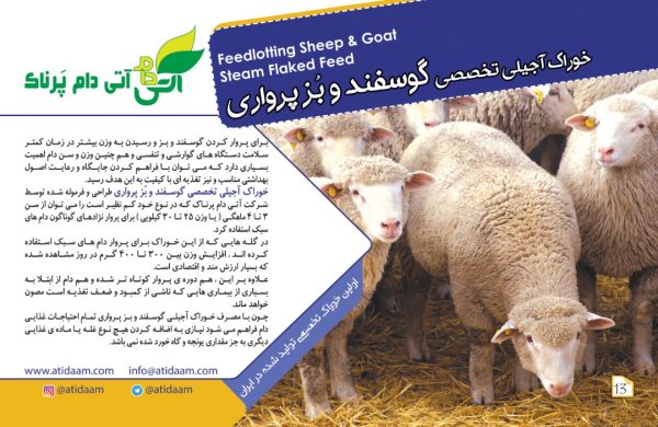 خوراک آجیلی گوسفند و بز پرواری - Image 2
