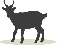 goat-بز icon-atidam