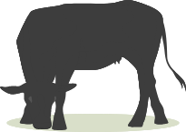 calf-گوساله icon-atidam